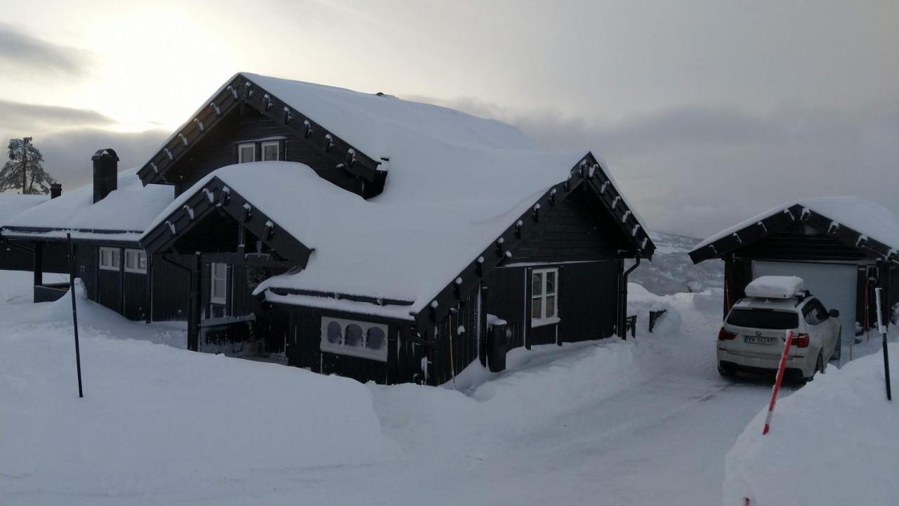 Wonderful Cabin With Amazing Mountain - View Lifjell Exterior foto